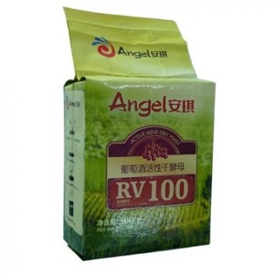   Angel RV100 500